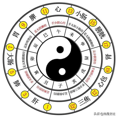 太極生兩儀兩儀生四象四象生八卦意思|兩儀生四象:簡介,易傳,太極,兩儀,四象,內涵,